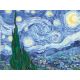 RAVENSBURGER CREART KIT PINTURA VAN GOGH LA NOCHE ESTRELLADA TIENDA CON LICENCIA OFICIAL
