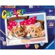 Ravensburger CreArt Kit Pintura Gatitos en la Almohada